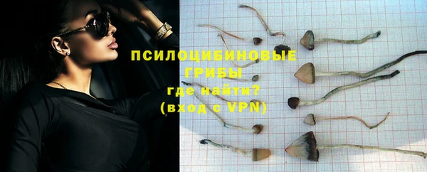 соль ск Ладушкин
