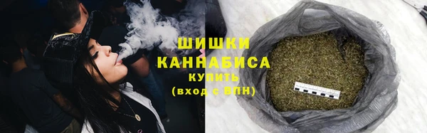 соль ск Ладушкин