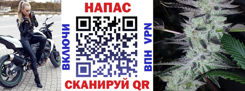 Шишки марихуана семена  KRAKEN tor  Курчатов  купить наркотики сайты 