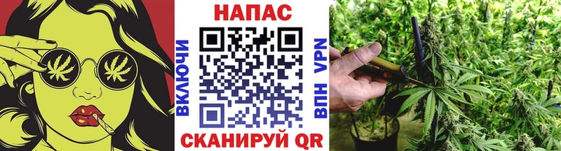 Конопля White Widow Курчатов